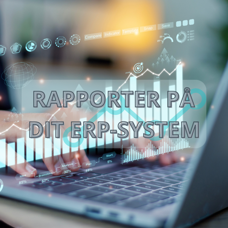 Power BI-rapporter på dit ERP-system